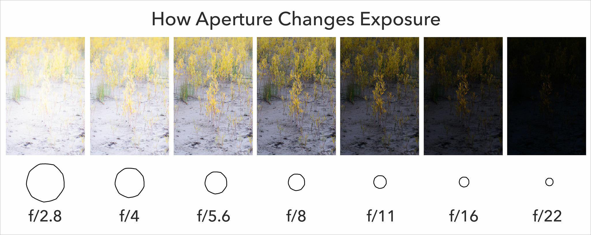 Aperture Affect on Exposure