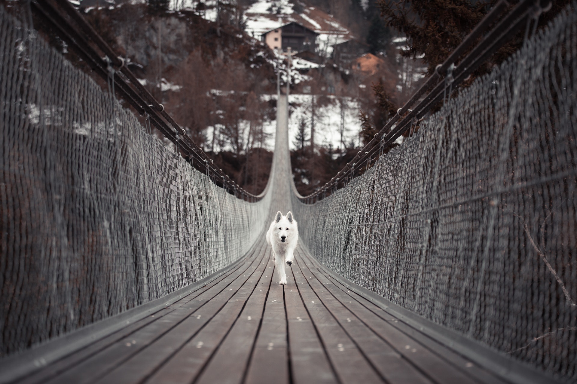 Leading Lines In Photography With 7 Examples Leading Lines In Photography With 7 Examples