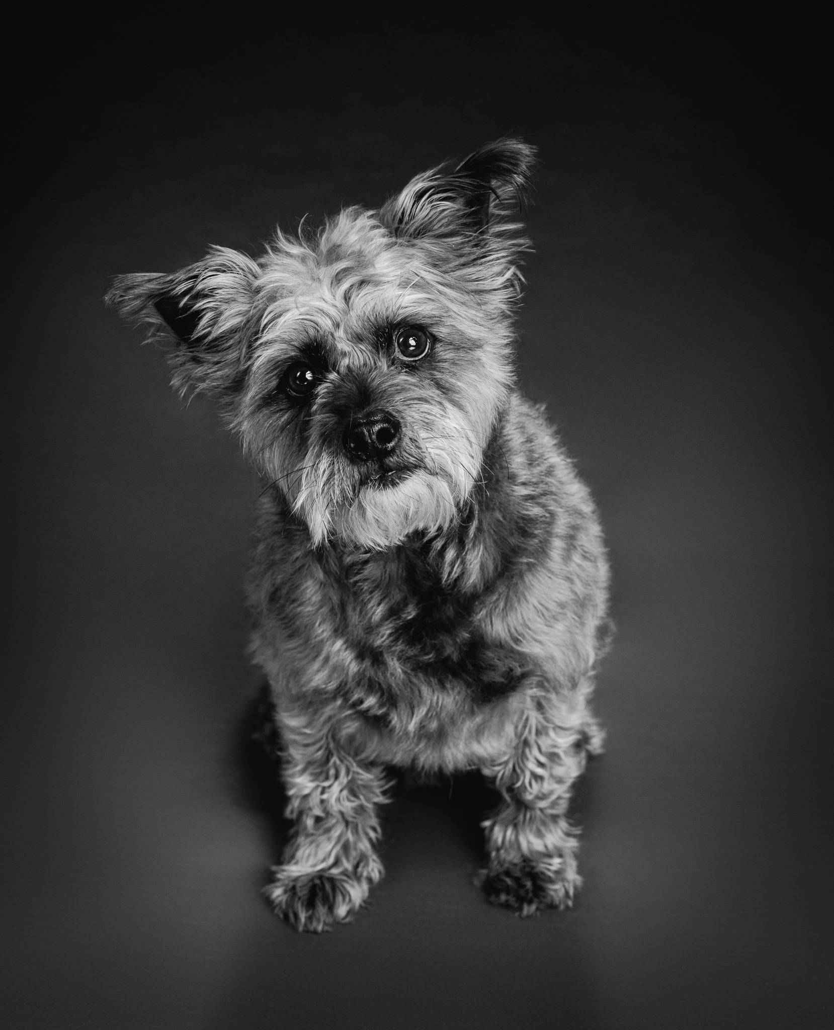 339274470 1325257068023281 1138898744870935571 n